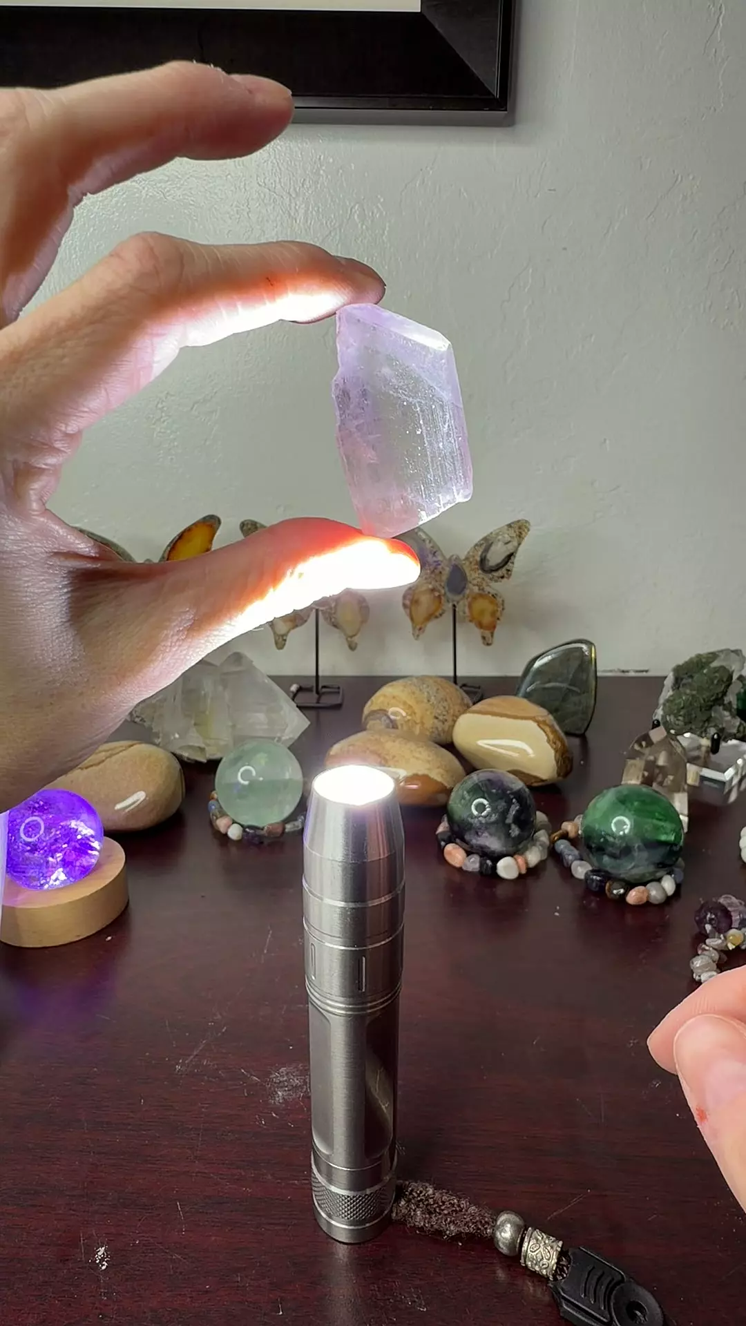 plant/HQ Kunzite 4-0