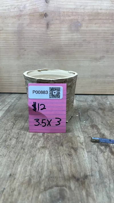 plant/P00883-0-thumbnail