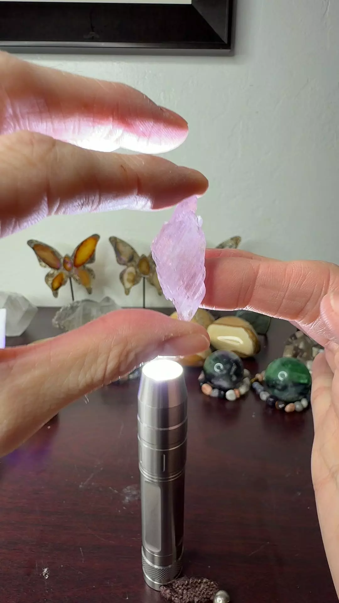 plant/HQ Kunzite 8-0