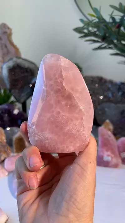 plant/TUCSON - Pink Aragonite $294-0-thumbnail