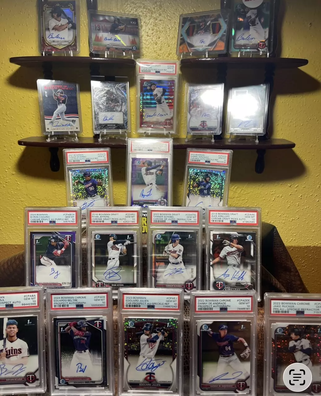 plant/$1.00 Dollar Auction Starts-0