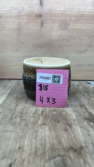 plant/P00887-0-thumbnail