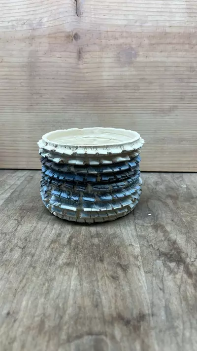 plant/P00885-1-thumbnail