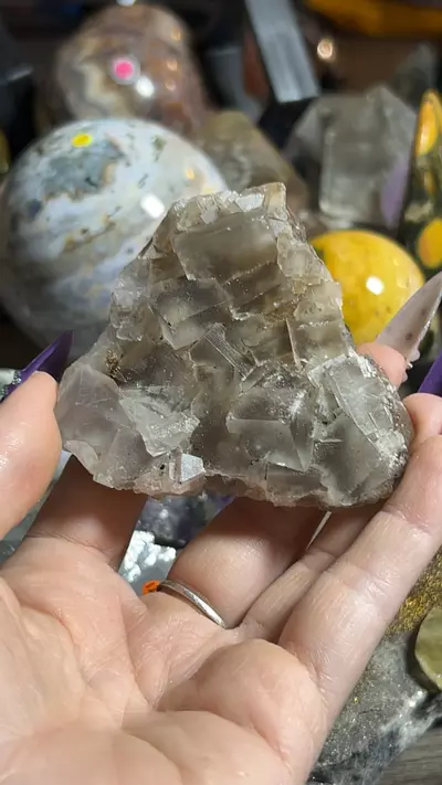 plant/UK Fluorite-0-thumbnail