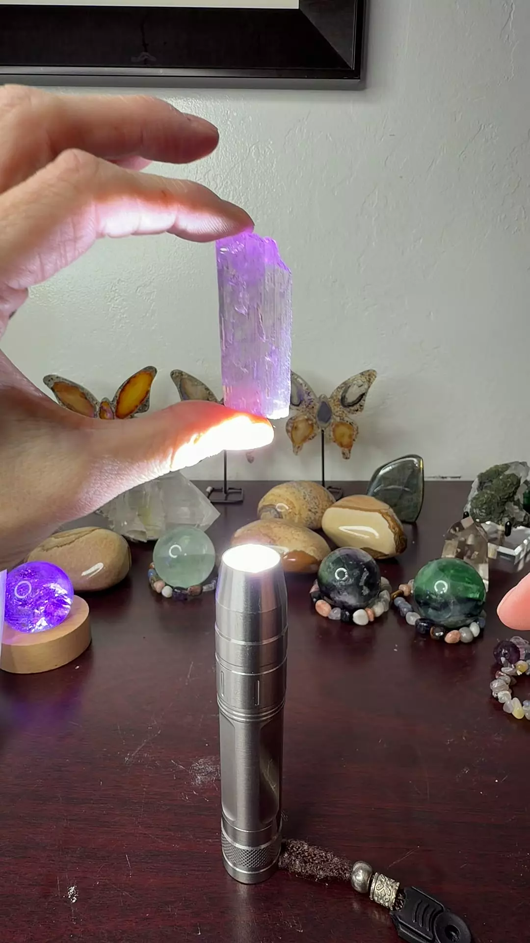 plant/HQ Kunzite 3-0