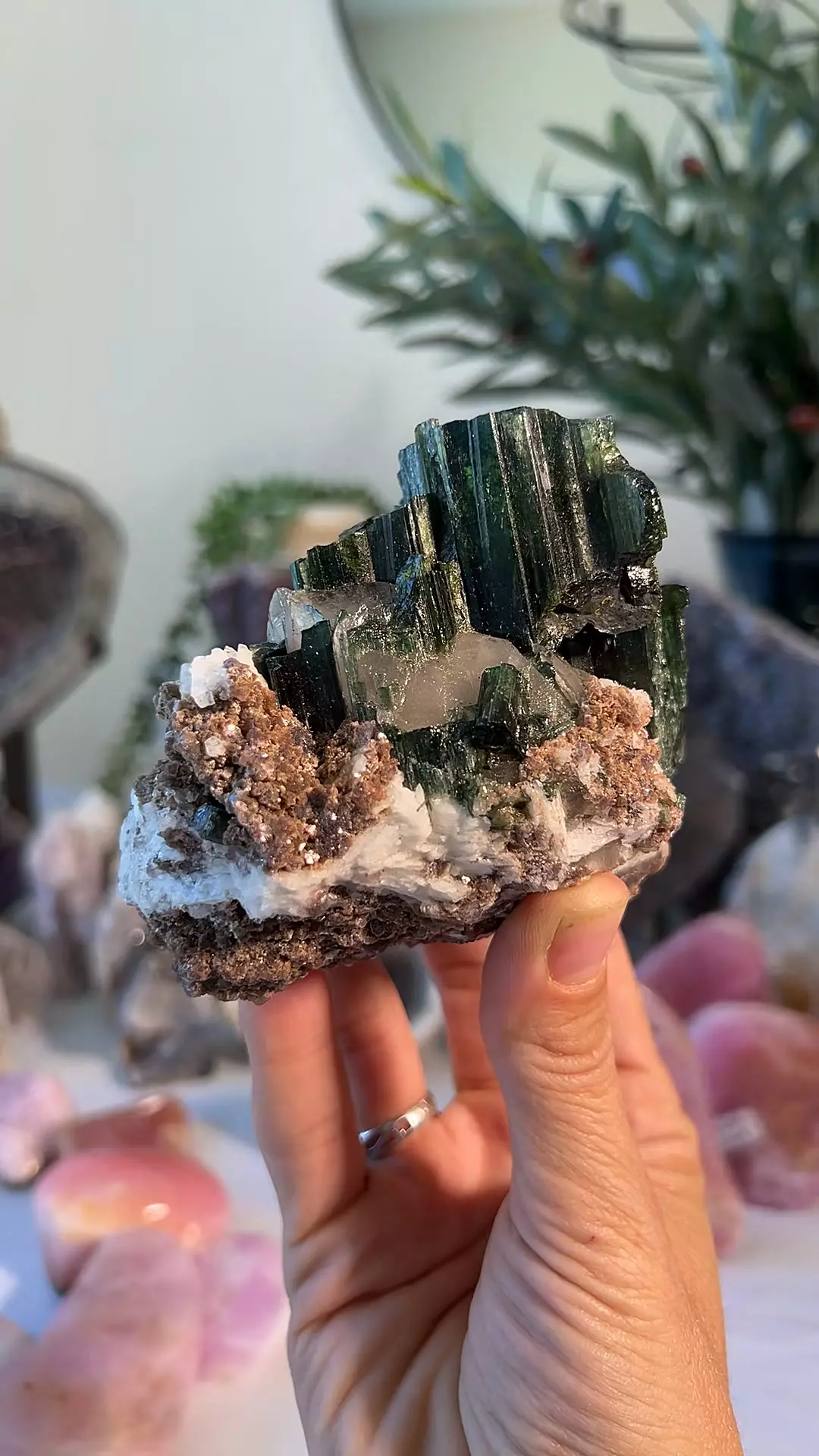 plant/TUCSON - Green Tourmaline with Mica $258-0