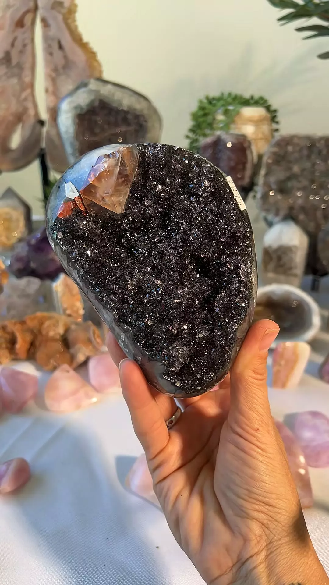 plant/TUCSON - Black Sugar Amethyst with Calcite on stand $416-0