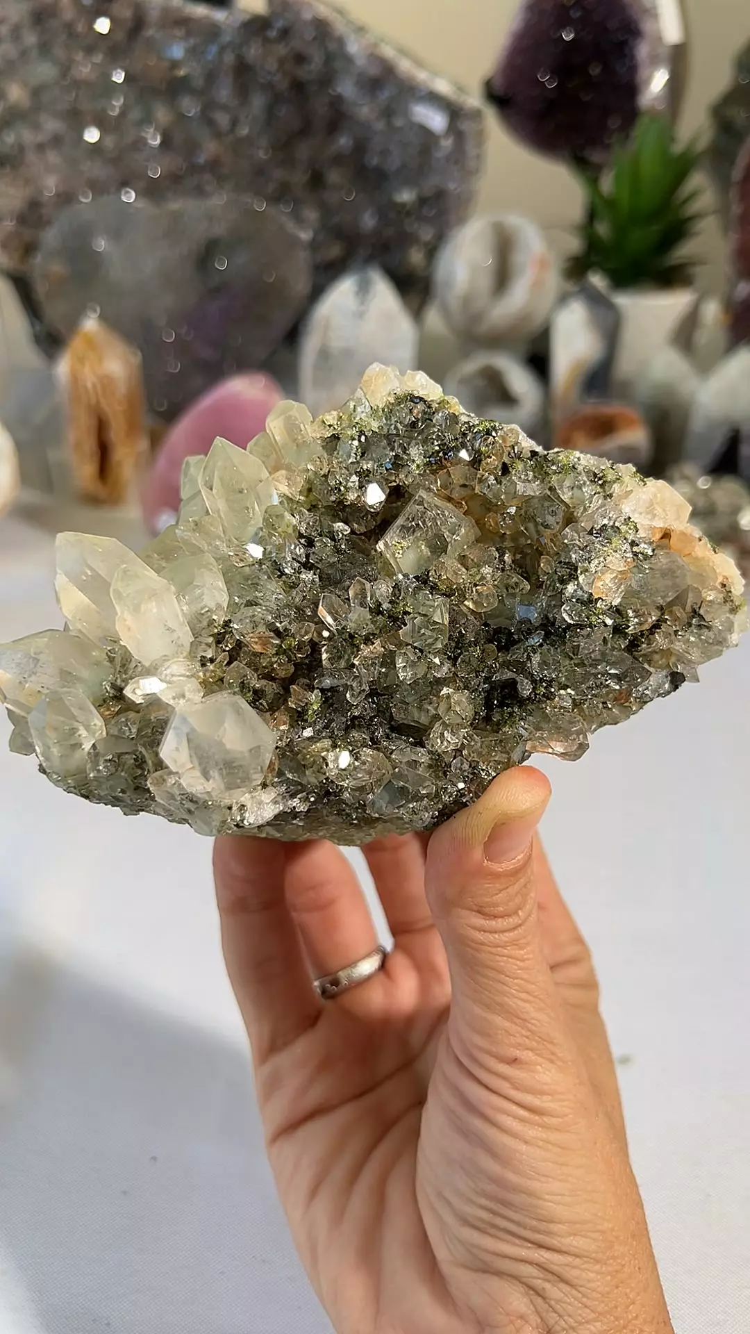 plant/TUCSON - Epidote & Quartz, Turkey $350-0