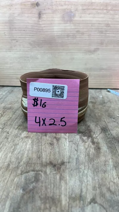 plant/P00895-0-thumbnail