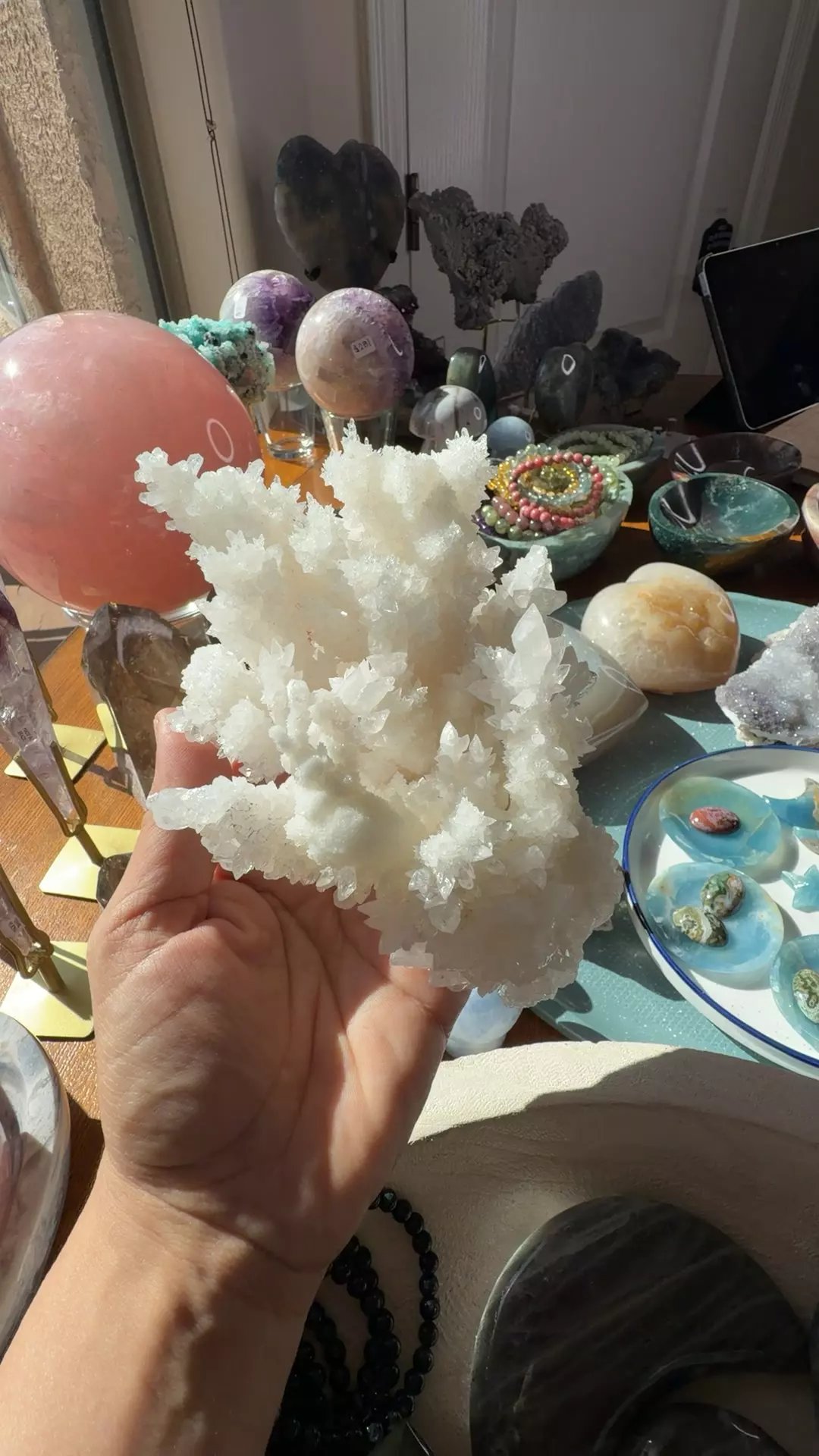 plant/cave calcite-0