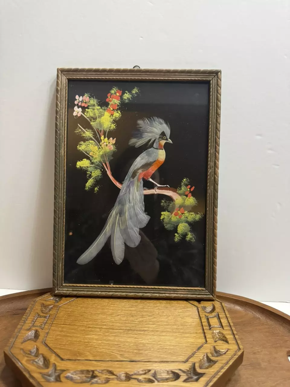 plant/Mexican feather art-0