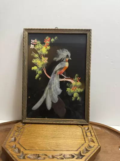 plant/Mexican feather art-0-thumbnail