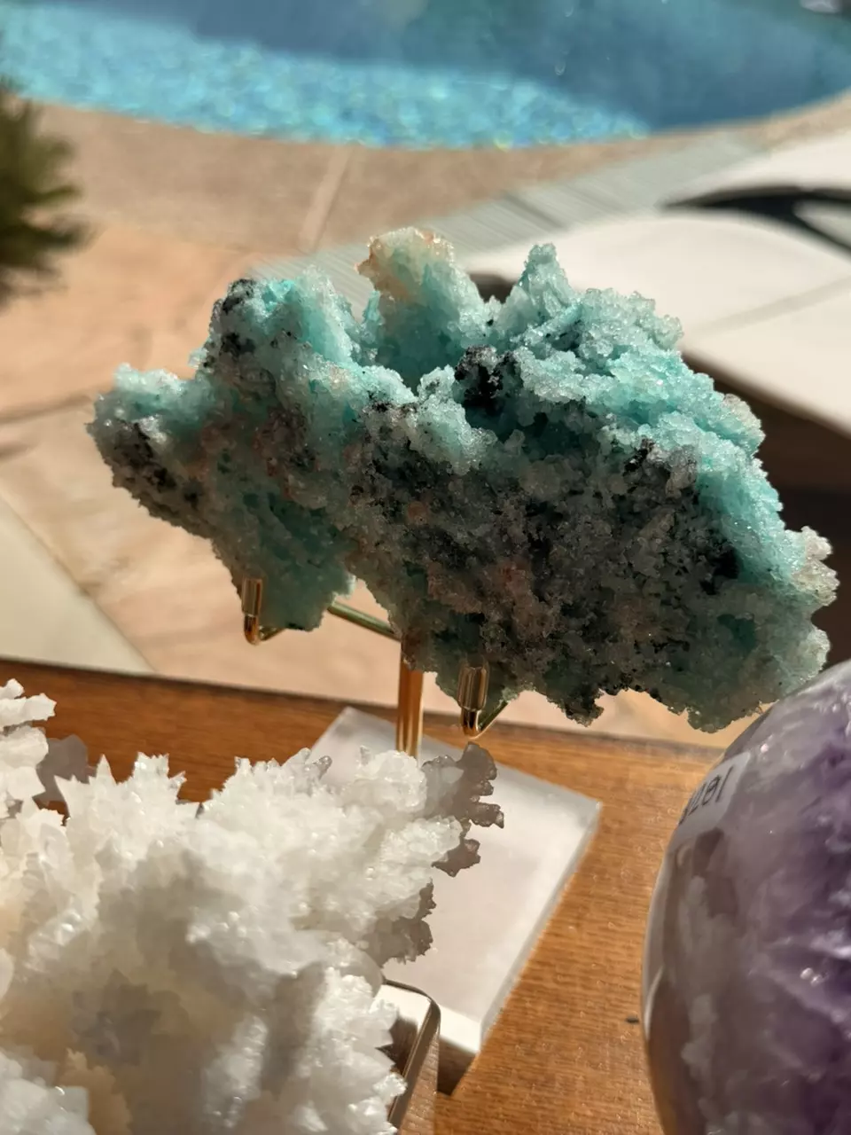 plant/Santa Eulalia  crystallized blue aragonite-0