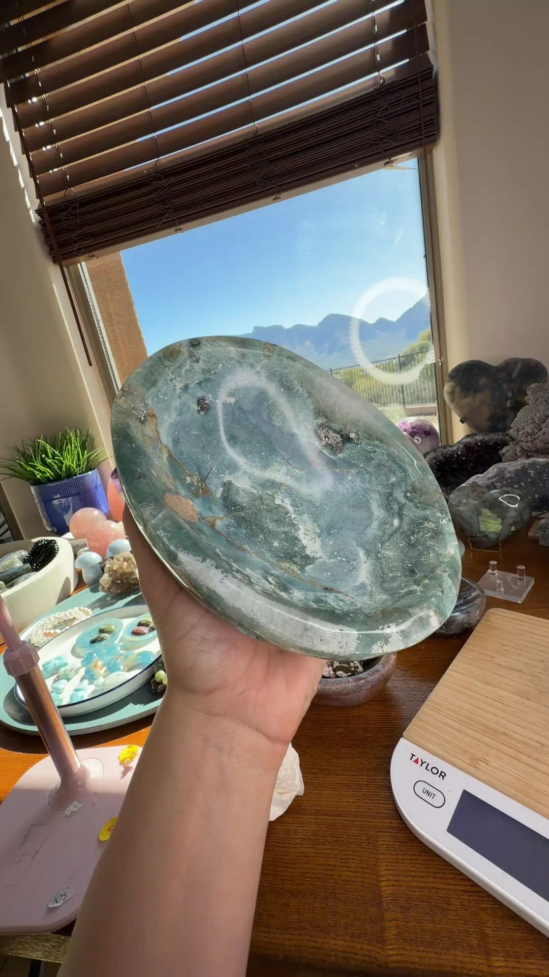 plant/Blue Ocean Bowl-0