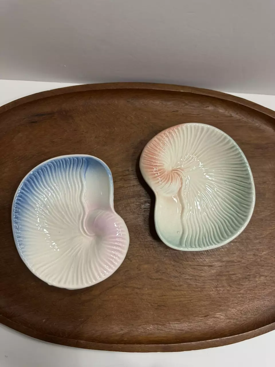 plant/Ceramic nautilus shell-shaped trinket dish or soap dish-0