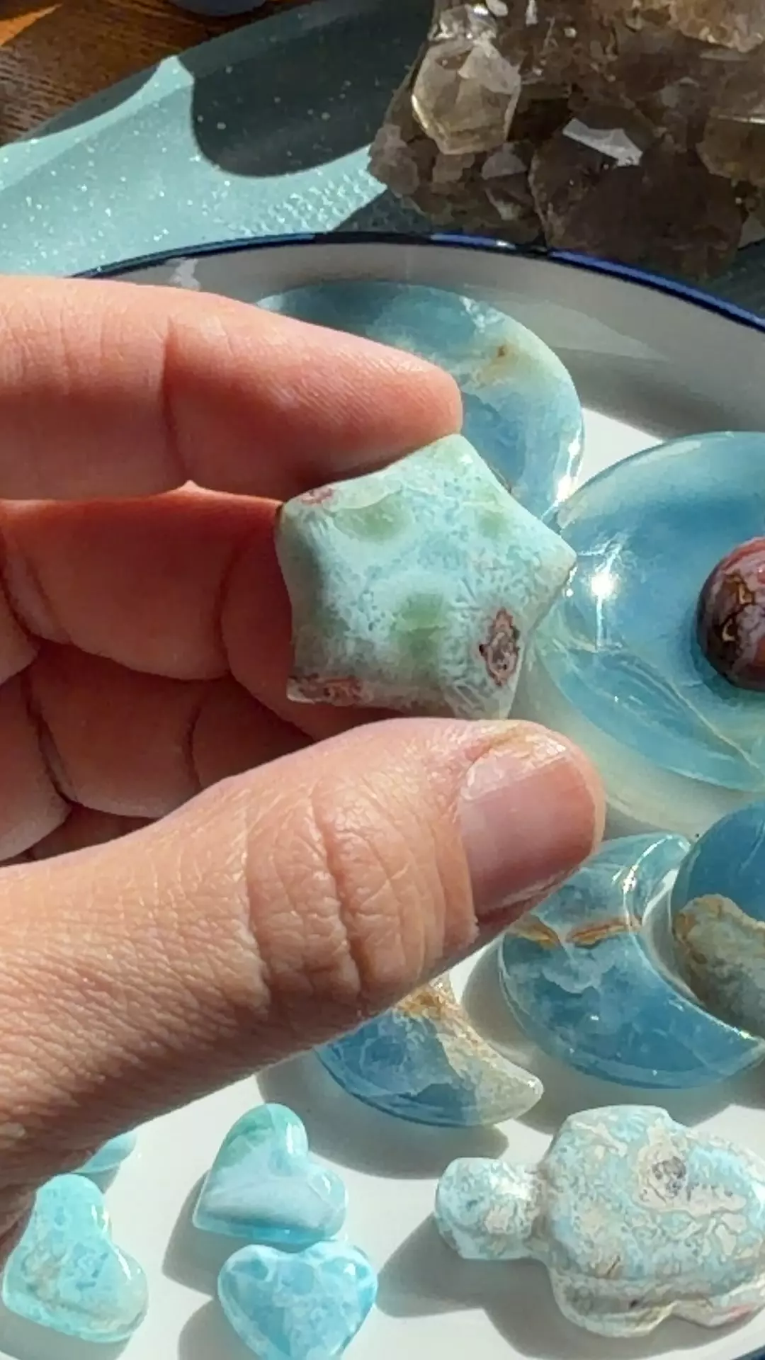 plant/Larimar Star-0