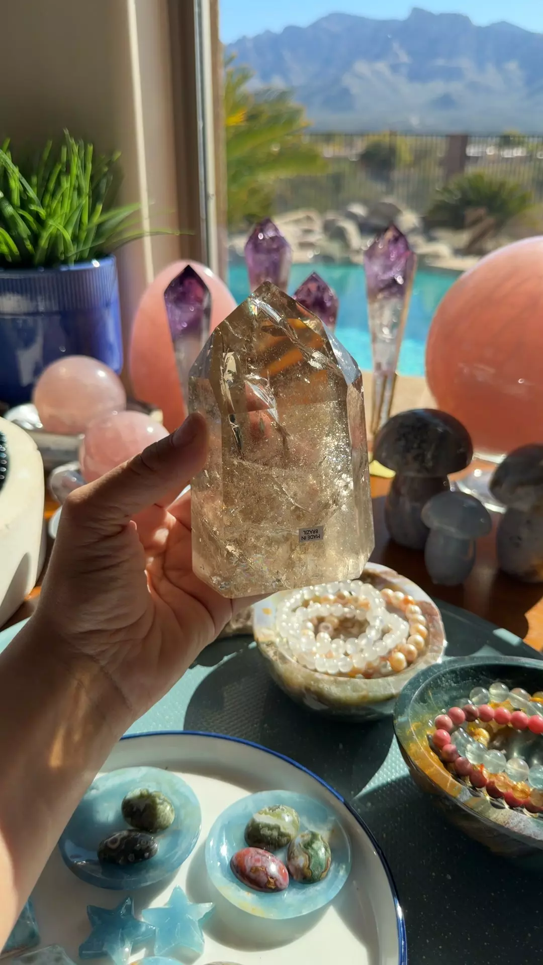 plant/smoky Quartz $180-0