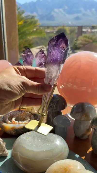 plant/amethyst w hollandite-0-thumbnail