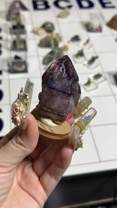 plant/Goboboseb amethyst-0-thumbnail