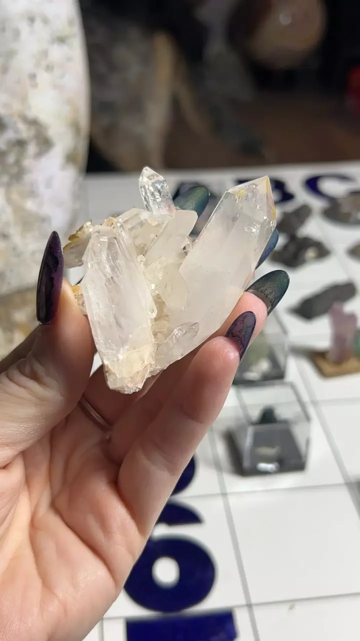 plant/Quartz Cluster from Colombia-0