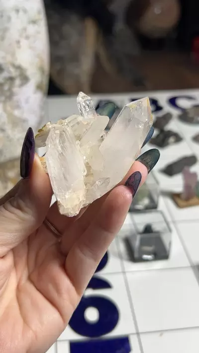 plant/Quartz Cluster from Colombia-0-thumbnail