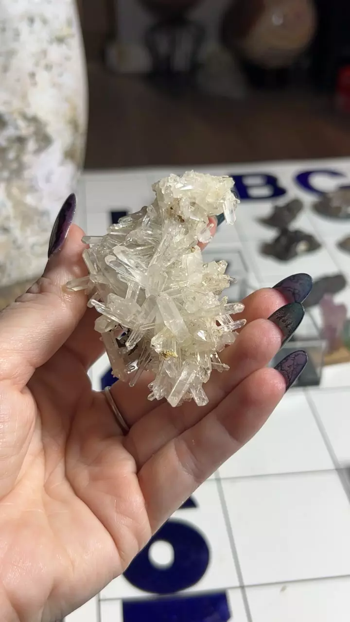 plant/Needle Quartz Cluster from Colombia-0