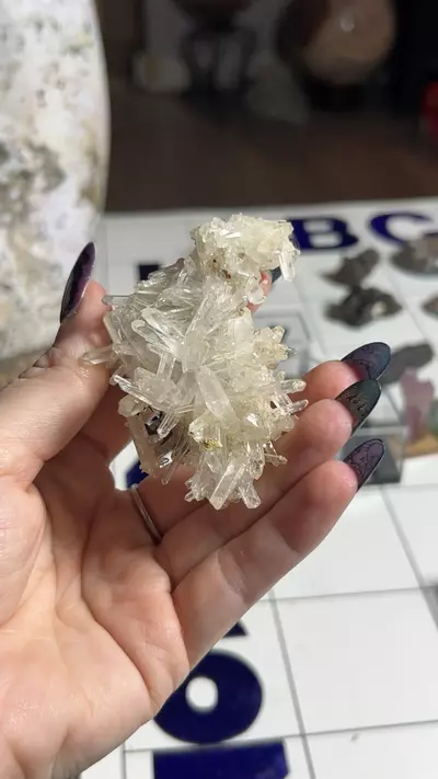 plant/Needle Quartz Cluster from Colombia-0-thumbnail