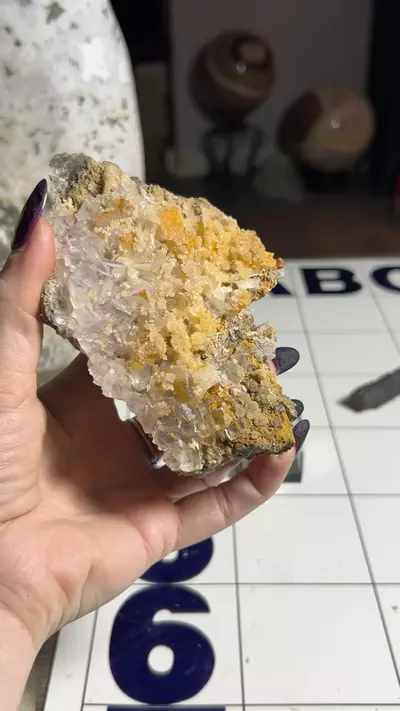 plant/Muzquiz fluorite-0-thumbnail