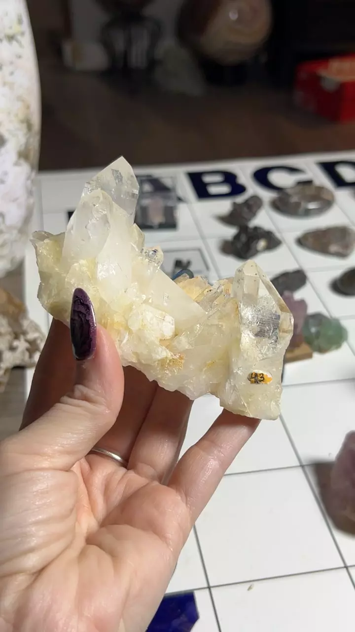 plant/Quartz Cluster from Colombia-0