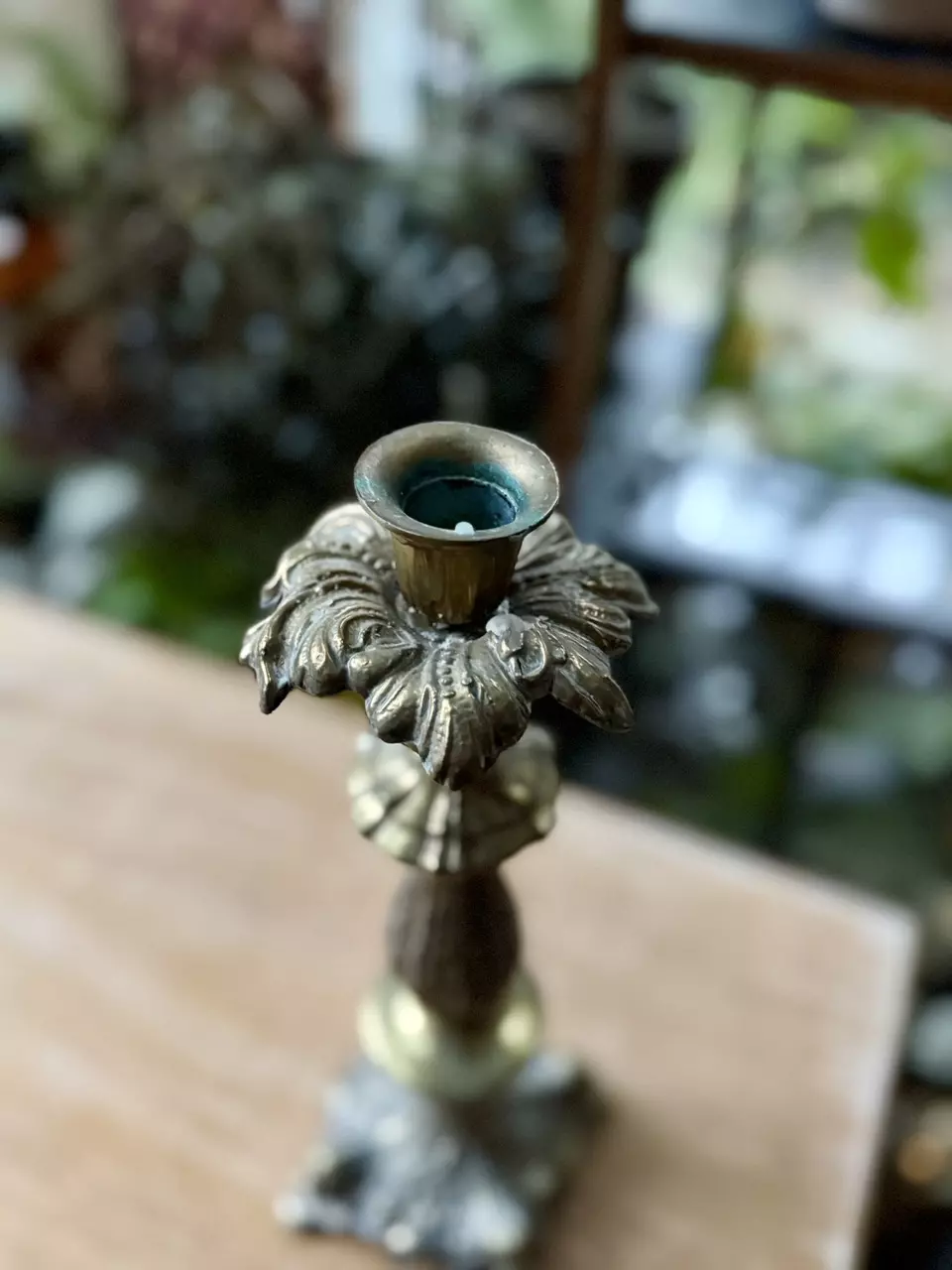 plant/Ornate brass candlestick-1