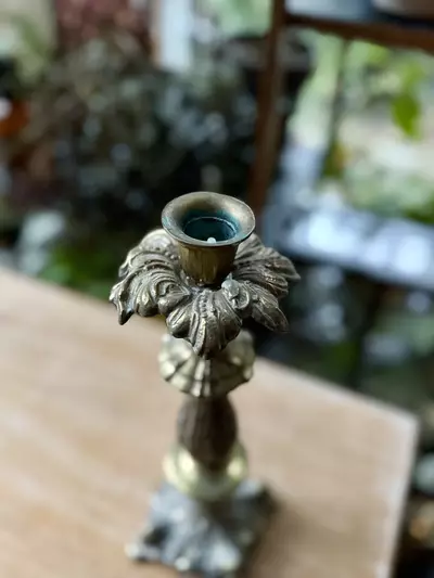 plant/Ornate brass candlestick-1-thumbnail