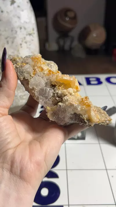 plant/Muzquiz fluorite-0-thumbnail