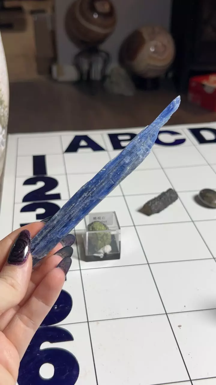 plant/Blue Kyanite Blade-0