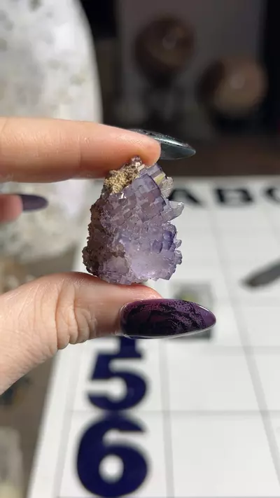 plant/Muzquiz fluorite w perky-0-thumbnail