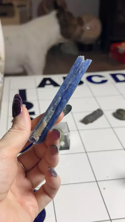 plant/Blue Kyanite Blade-0-thumbnail