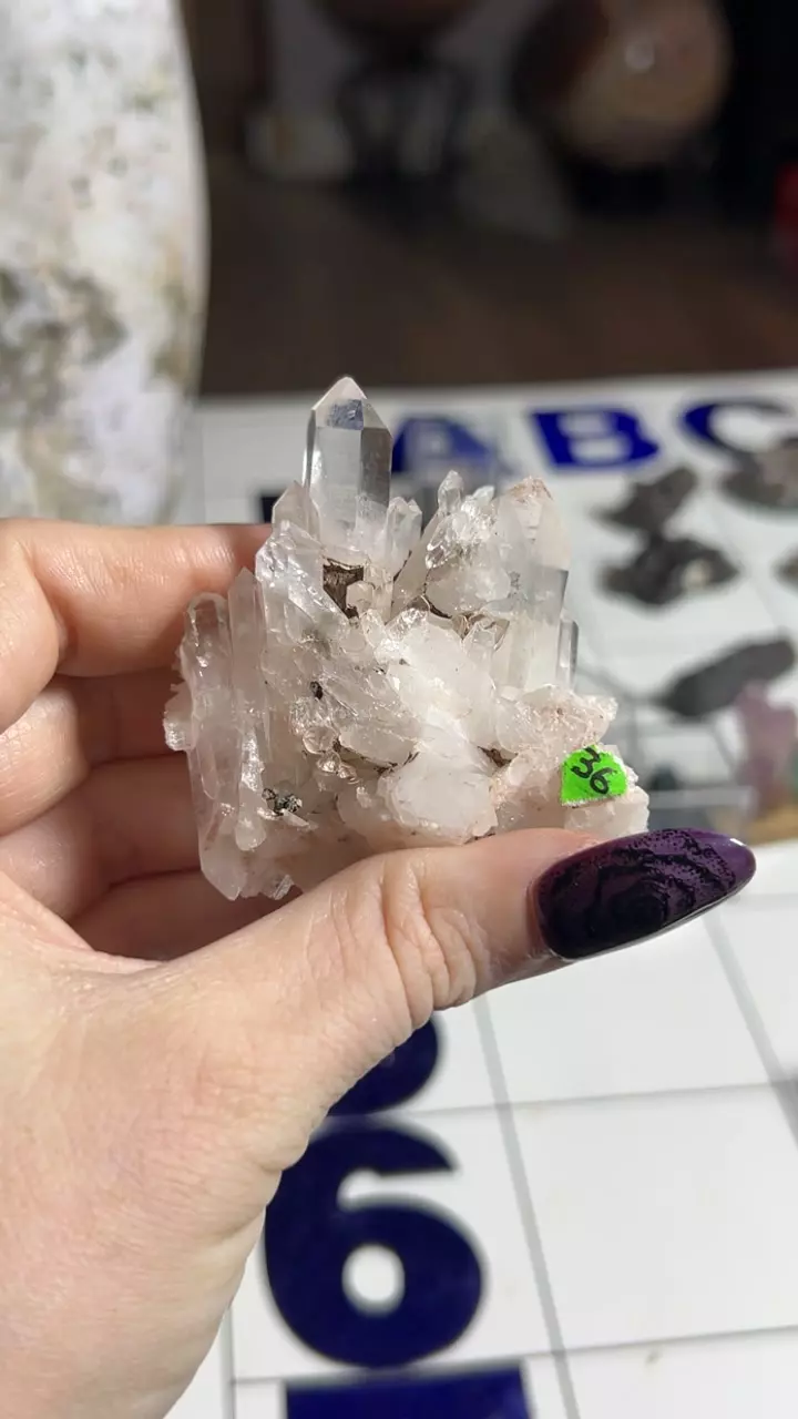 plant/Pink Lithium Quartz Cluster from Colombia-0