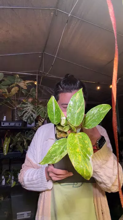 plant/plant-0-thumbnail