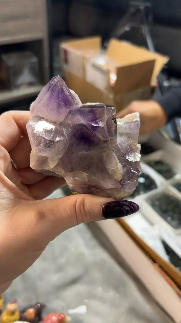 plant/New Find Epidote and Specularite Included Amethyst-0