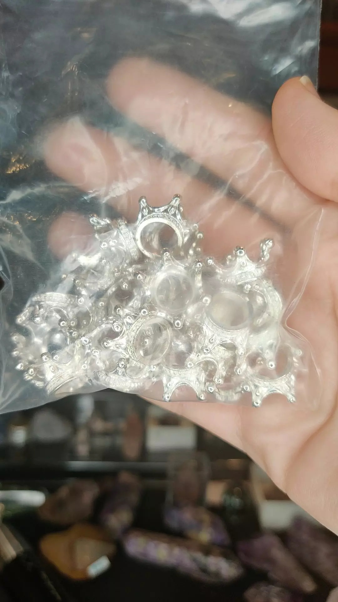 plant/Silver Mini Crown-0