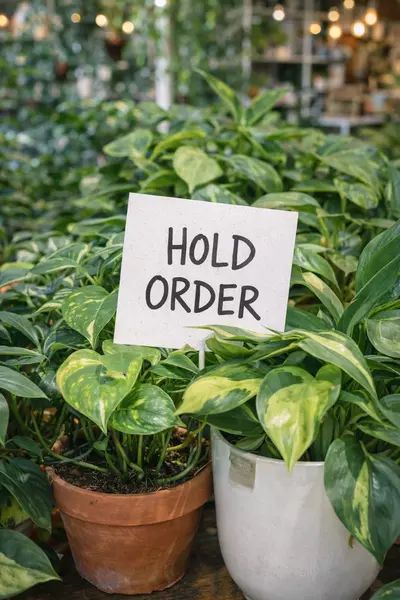 plant/Hold Order-0-thumbnail