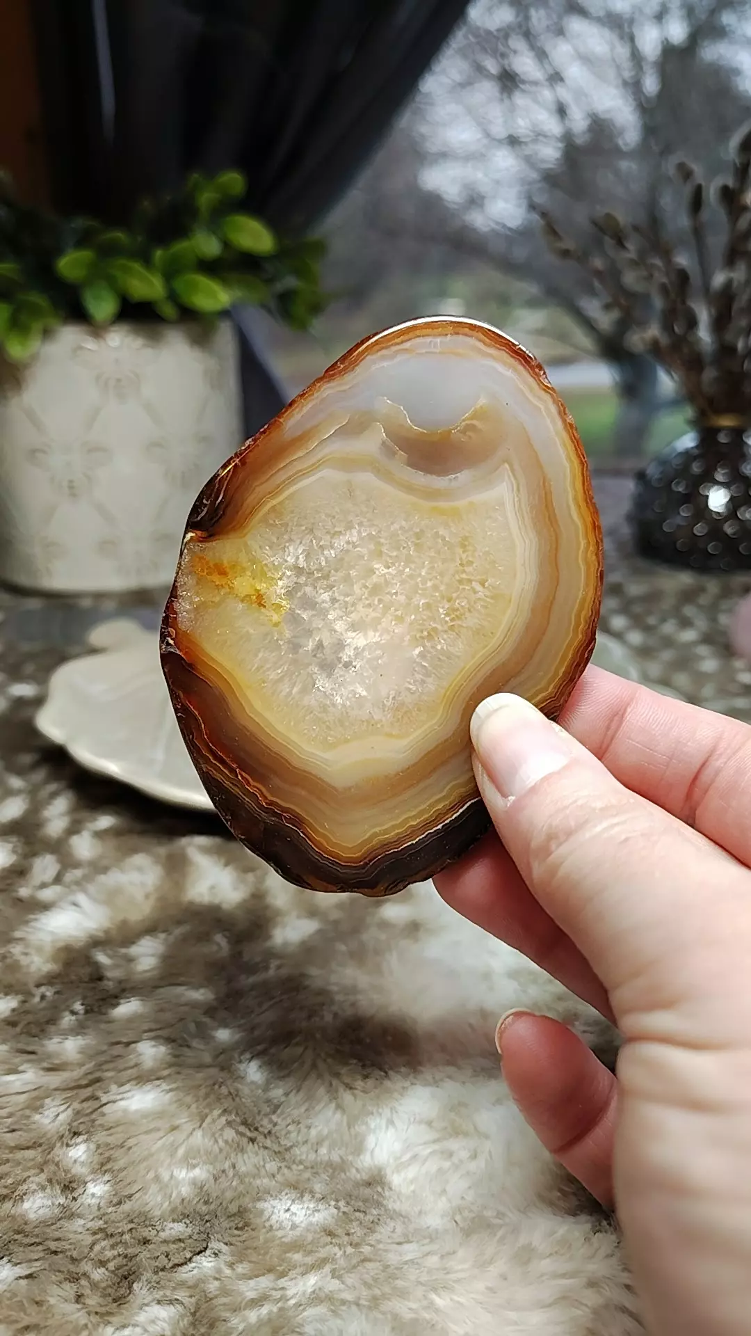 plant/Agate Slice-0