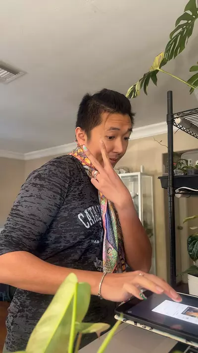 plant/shady lady cutting-0-thumbnail