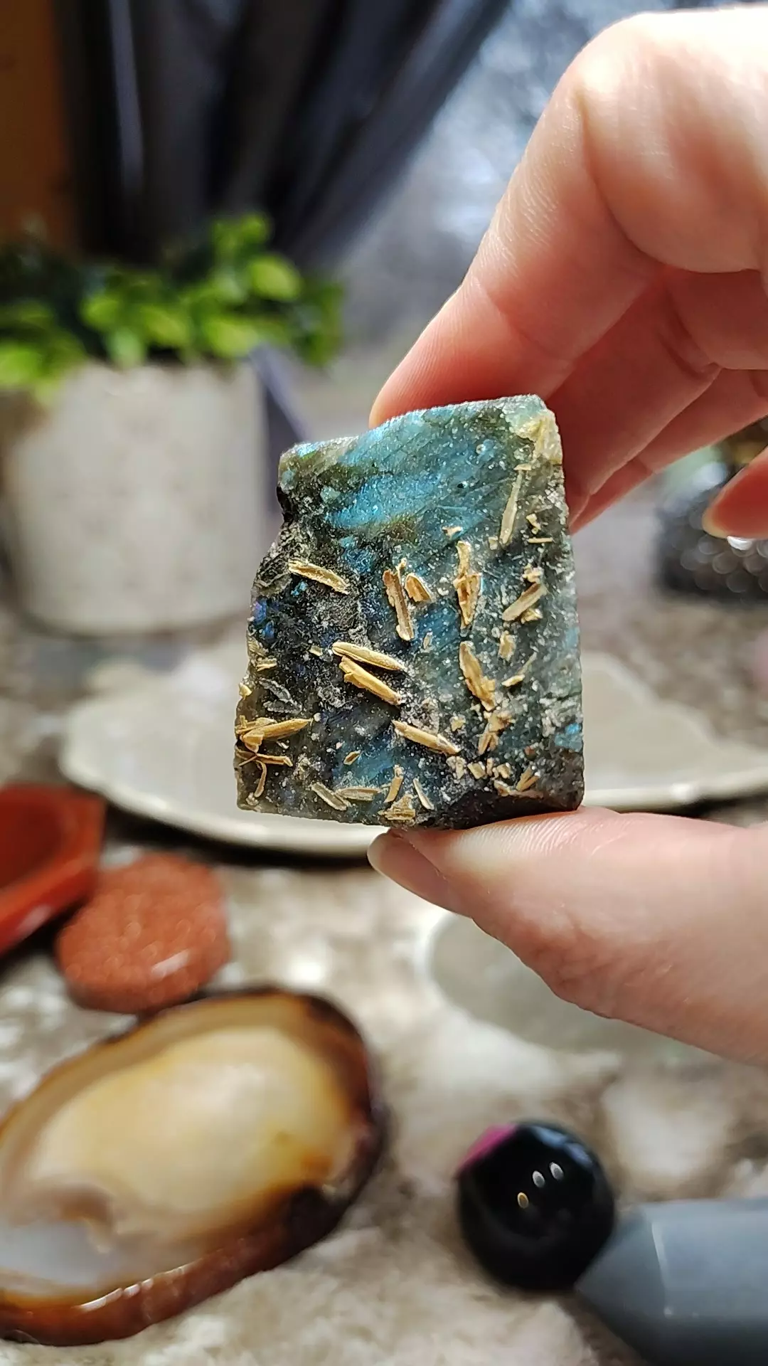 plant/Labradorite raw-0