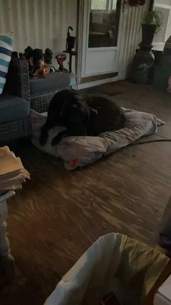 plant/pick your team,stack um up-0