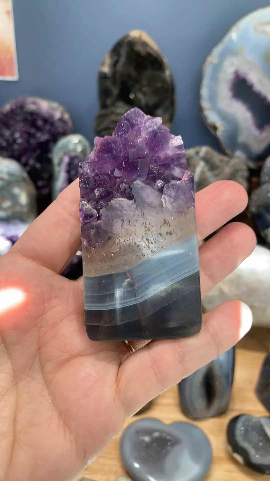 plant/banded amethyst slice-0