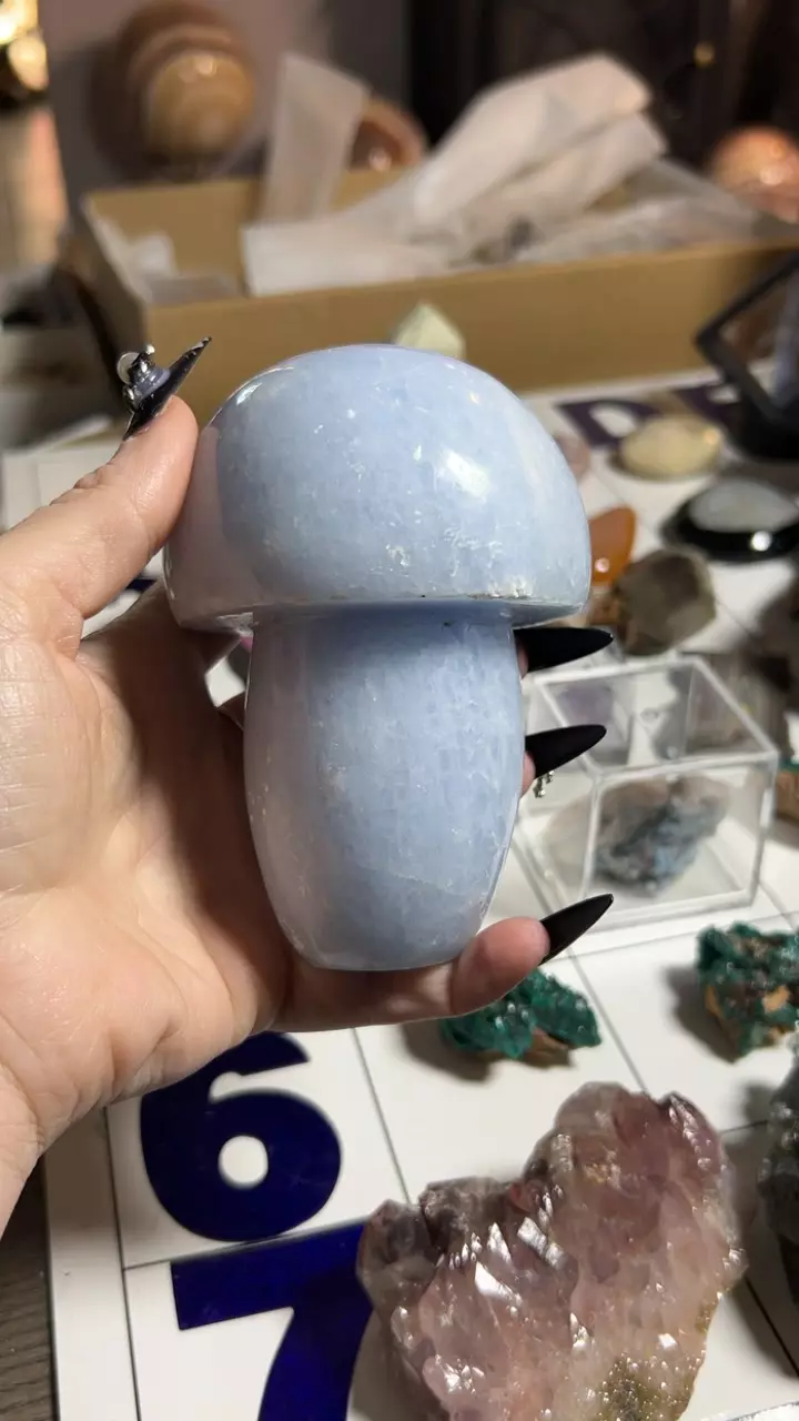 plant/Blue Calcite Mushroom-0
