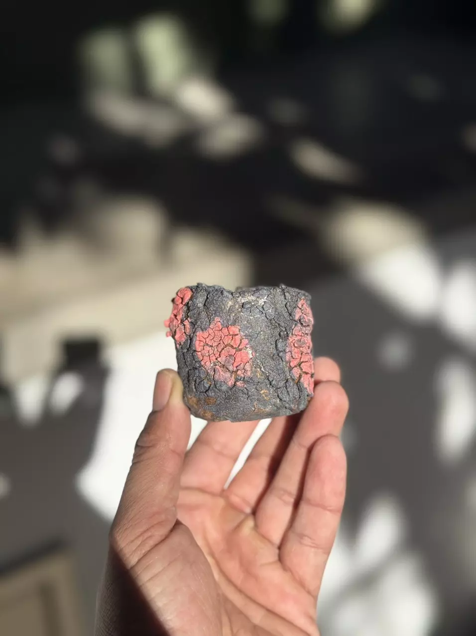 plant/Daredevil 2x2-0