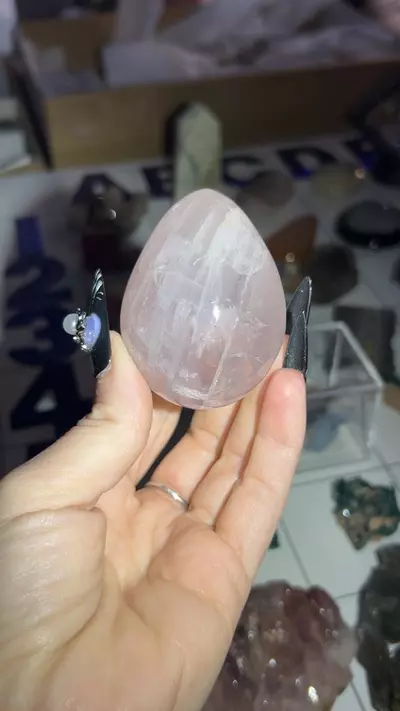 plant/Girasol Star RQ Egg-0-thumbnail