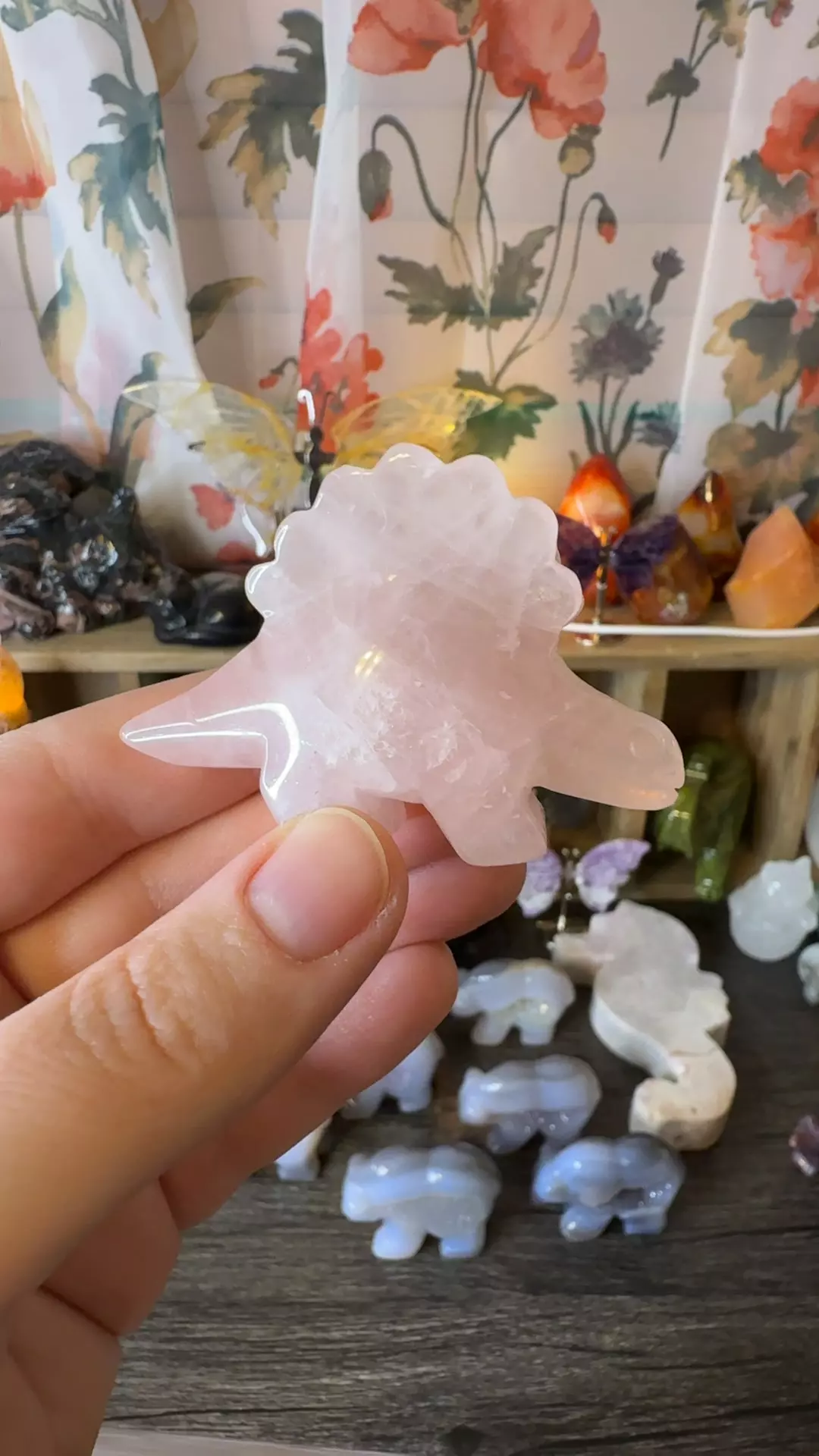 plant/$10 | Rose Quartz Stego-0