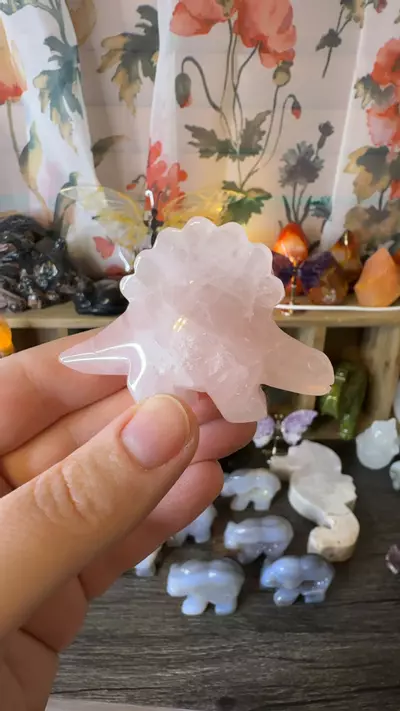 plant/$10 | Rose Quartz Stego-0-thumbnail